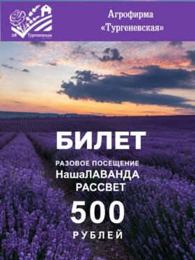 Билет на 1 человека  9 июля 2026 с 4:00 до 8:00 / НашаЛАВАНДА разовое посещение