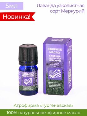 Эфирное масло Лаванда узколистная МЕРКУРИЙ 5мл