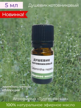 Эфирное масло Душевик котовниковый 5 мл