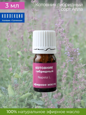 Эфирное масло Котовник Гибридный 3 мл
